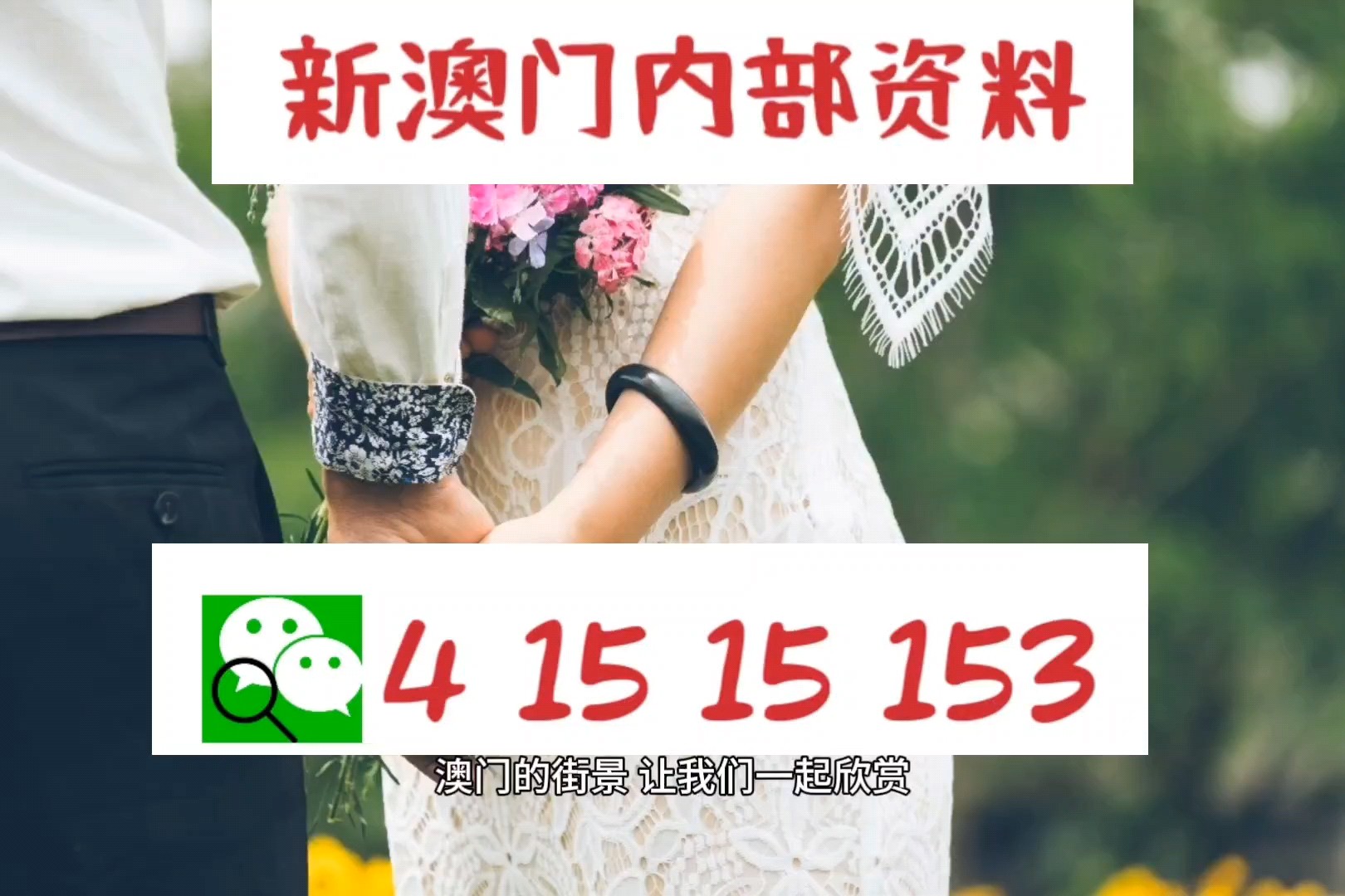 新澳今晚开什么特马仙传,社会责任实施_VYU77.256授权版
