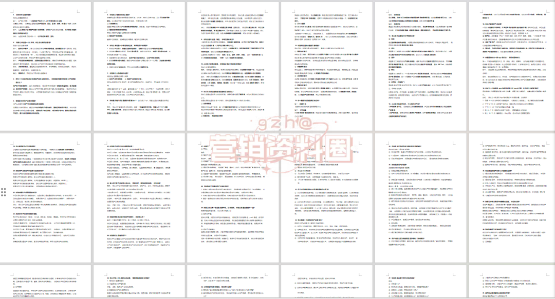 2024新澳门资料大全,全方位数据解析表述_WGX23.613效率版