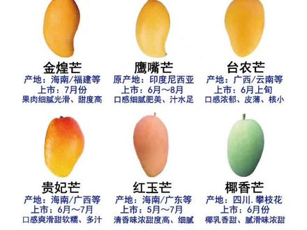 最新芒果挑选与品尝指南，详细步骤带你领略美味之选