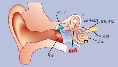 第260页