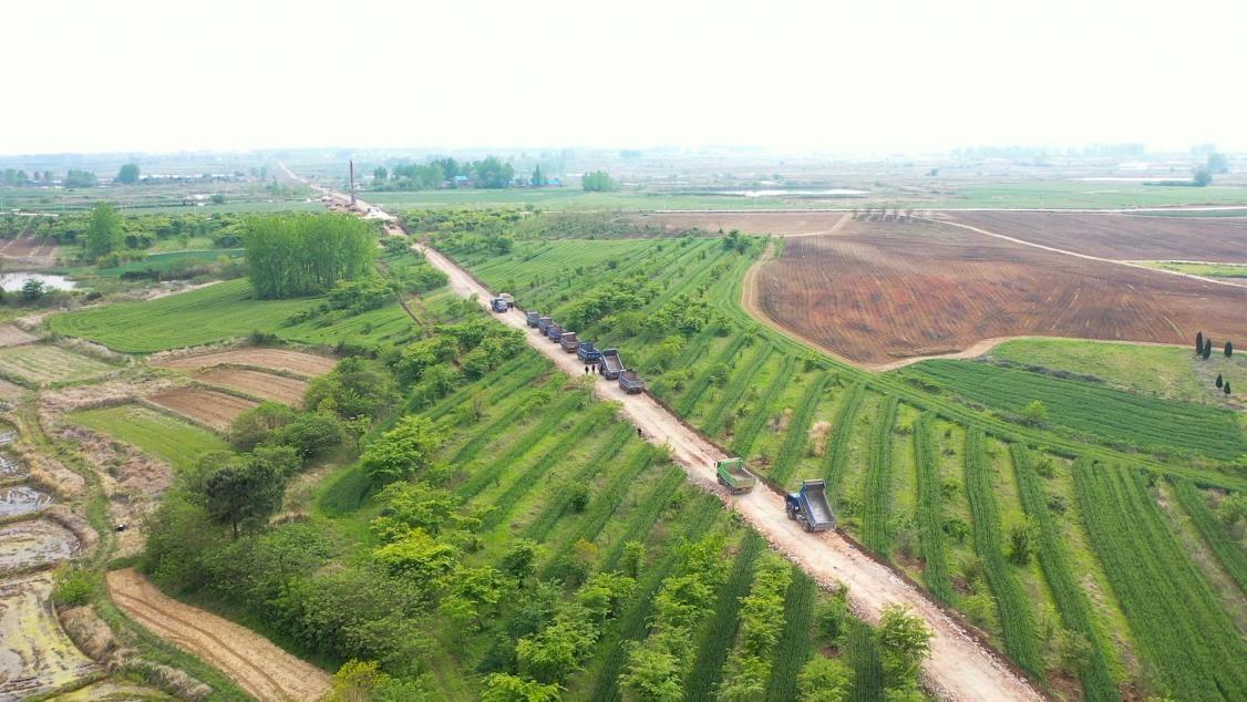 最新征地网深度探讨，背景、重要事件与地位分析