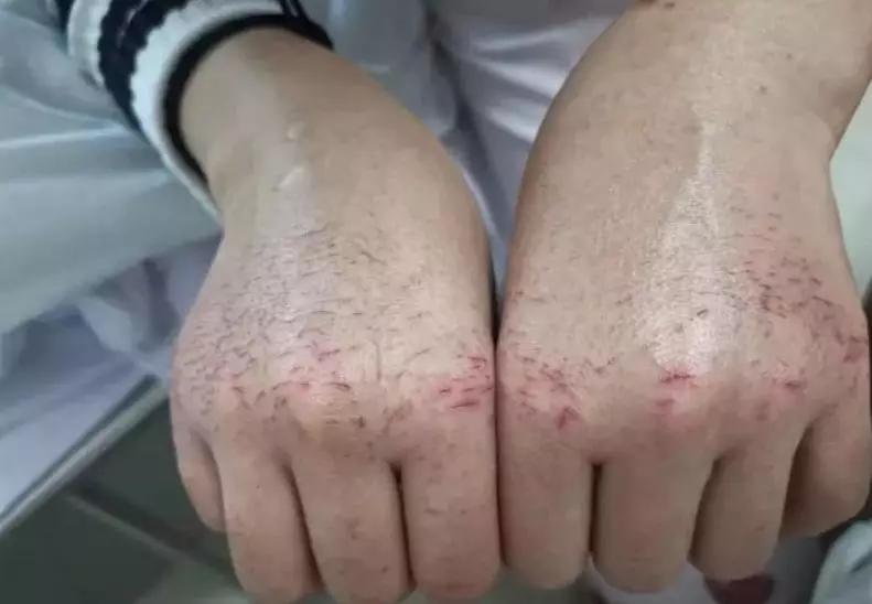 第101页