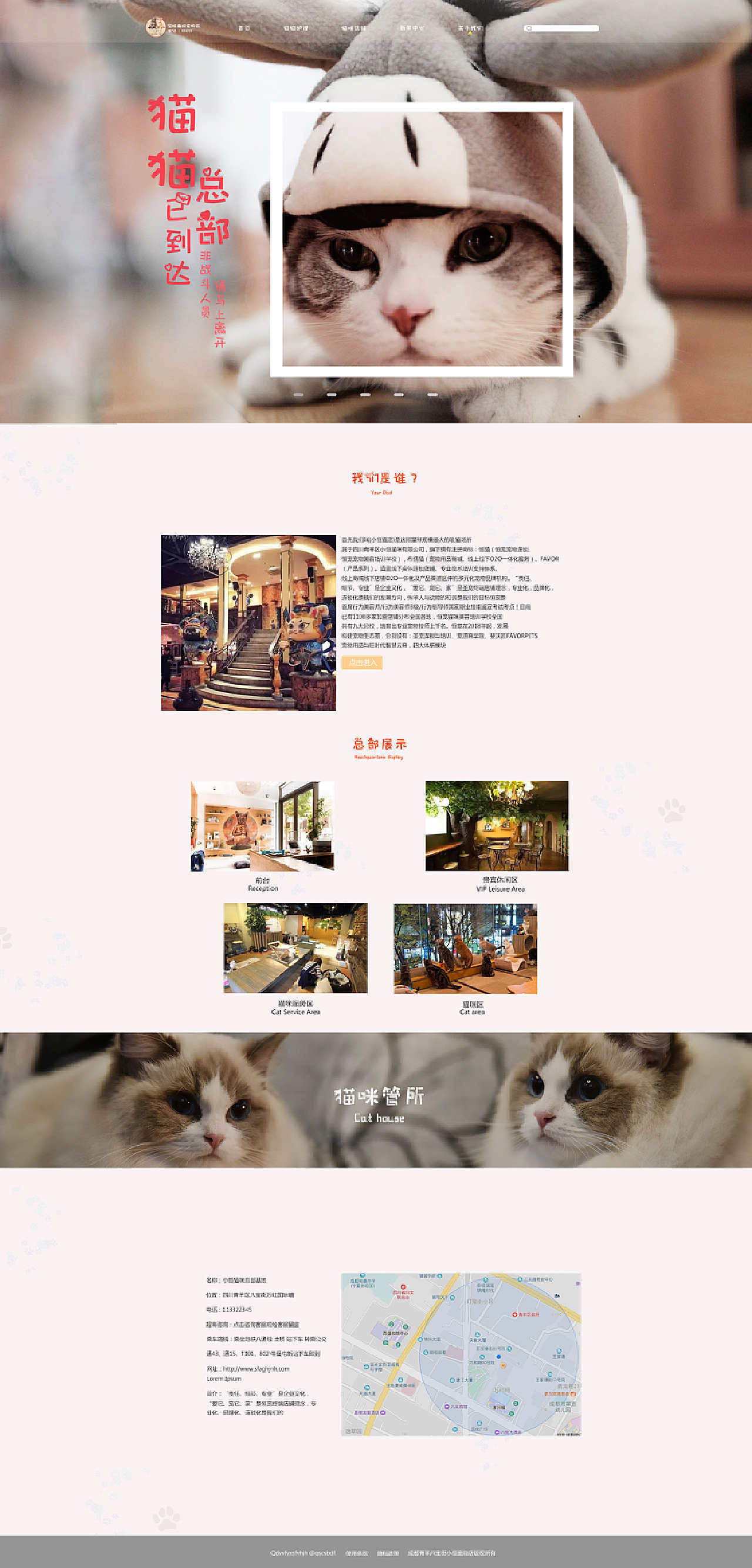 时代背景下的猫奴乐园，猫咪最新版网站
